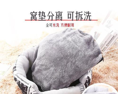 如何搭配合适的窝给泰迪？（泰迪犬配窝的注意事项及关键点）