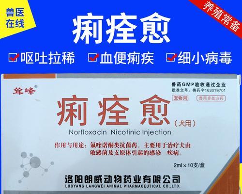 细小治疗中狗狗的消炎药选择（为狗狗选择适合的消炎药，保护它的健康）