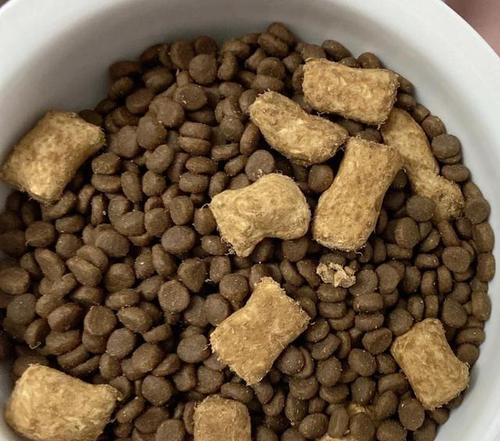 小猫为什么不吃饭？（探寻小猫不吃饭的原因及解决办法）