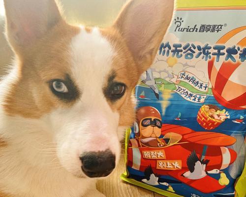 比特犬尿黄吃什么药好？（探讨比特犬尿黄的药物治疗方法及效果）