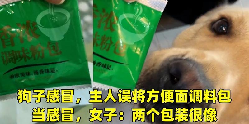 狗狗不可以吃的调料，小心它们对狗狗的健康造成危害（了解这些调料，让你的狗狗远离饮食问题）