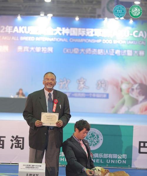探索CKU里Big2的魅力（纵观经典扑克游戏，细数Big2的精彩玩法）