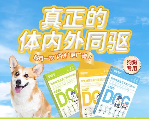 比熊犬长螨虫擦什么药？（选择合适的药物是关键）