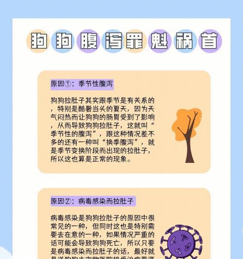狗的出狗频率及其影响因素（揭秘狗出狗次数的关键因素以及对狗健康的影响）