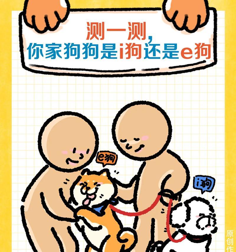 深情不渝，以爱犬为主题的文章（探索与狗狗的深度情感，爱犬无限）