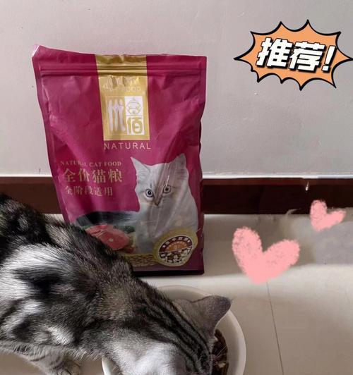 边牧美毛的秘密武器（揭秘边牧美毛的饮食秘籍）