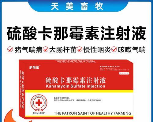 狗老喘的治疗方法（了解狗老喘的药物治疗与护理方法）