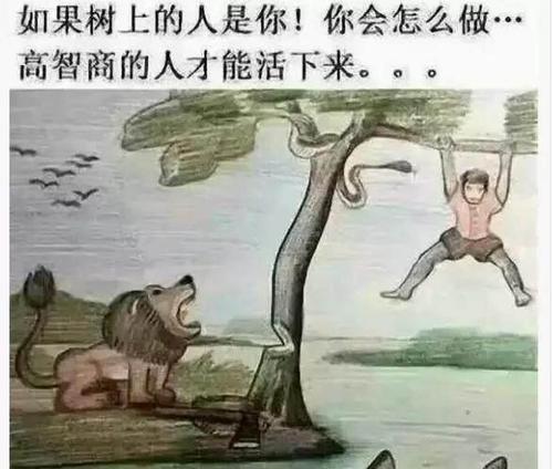 藏獒老哭叫的原因及治疗方法（探究藏獒老哭叫的疾病和有效的治疗方法）