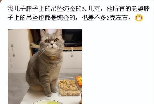 猫咪（猫咪）