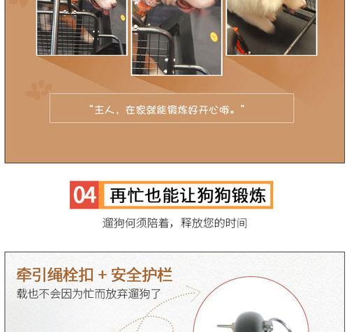 锻炼狗跑步的好处（为你的宠物带来健康快乐生活）
