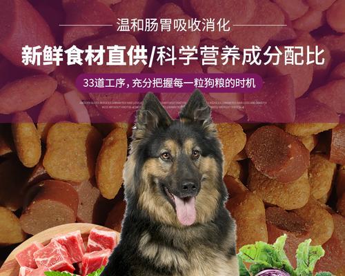 以德牧吃什么胃好？（为你的德牧提供健康饮食建议）