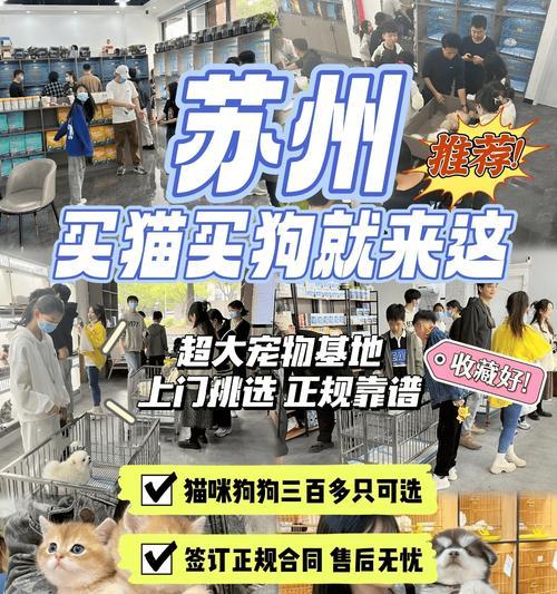 拉布拉多价格是多少？（了解拉布拉多犬的市场价格和购买费用）