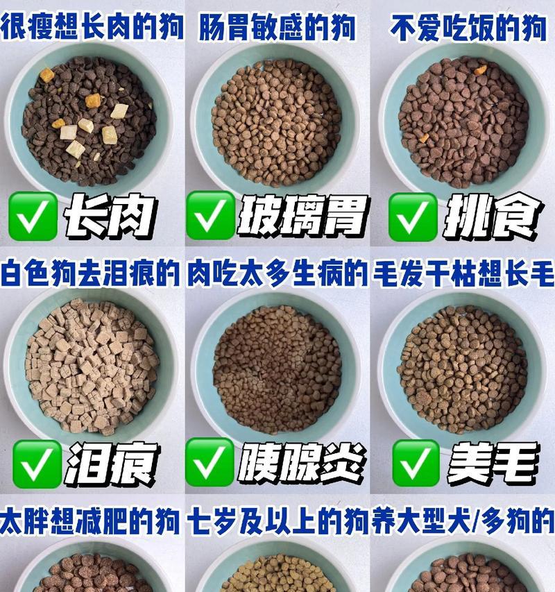 狗粮对狗狗体重的影响（营养均衡的狗粮与狗狗健康体重的关系）