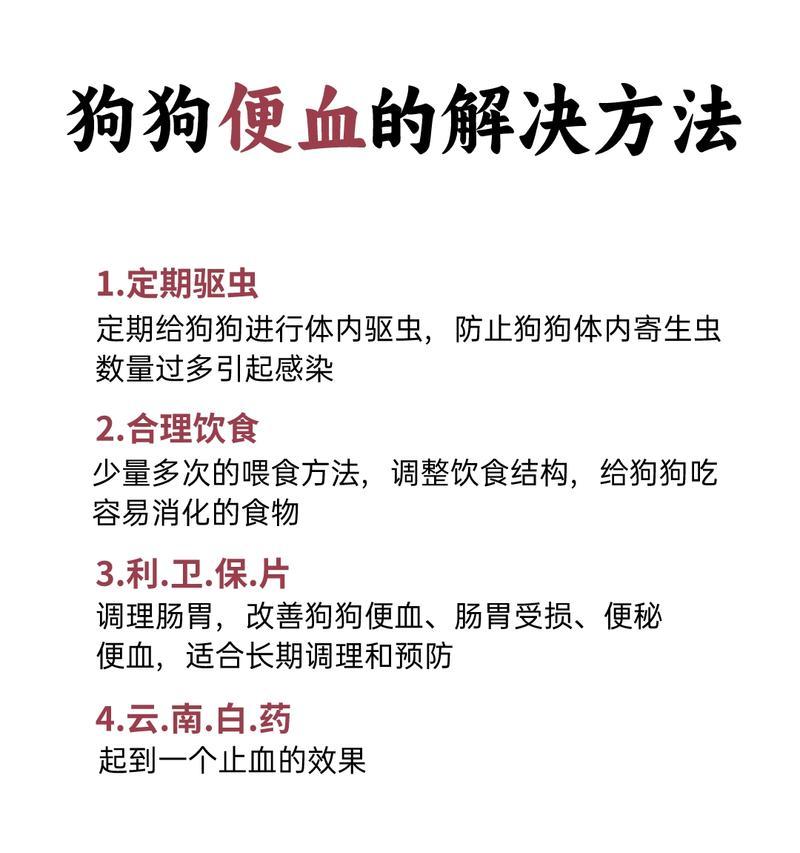 狗拉血症状、治疗及预防措施详解（探究狗拉血的原因、常见症状以及有效的治疗方法）
