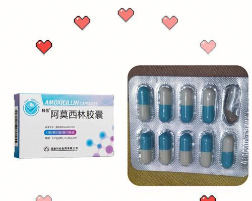 狗狗被撞后应该吃什么药？（急救的关键在于正确的药物处理）
