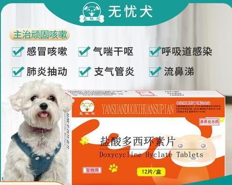 狗狗拉肚子，选择何种药物最佳？（帮助狗狗恢复健康的药物种类和使用方法）