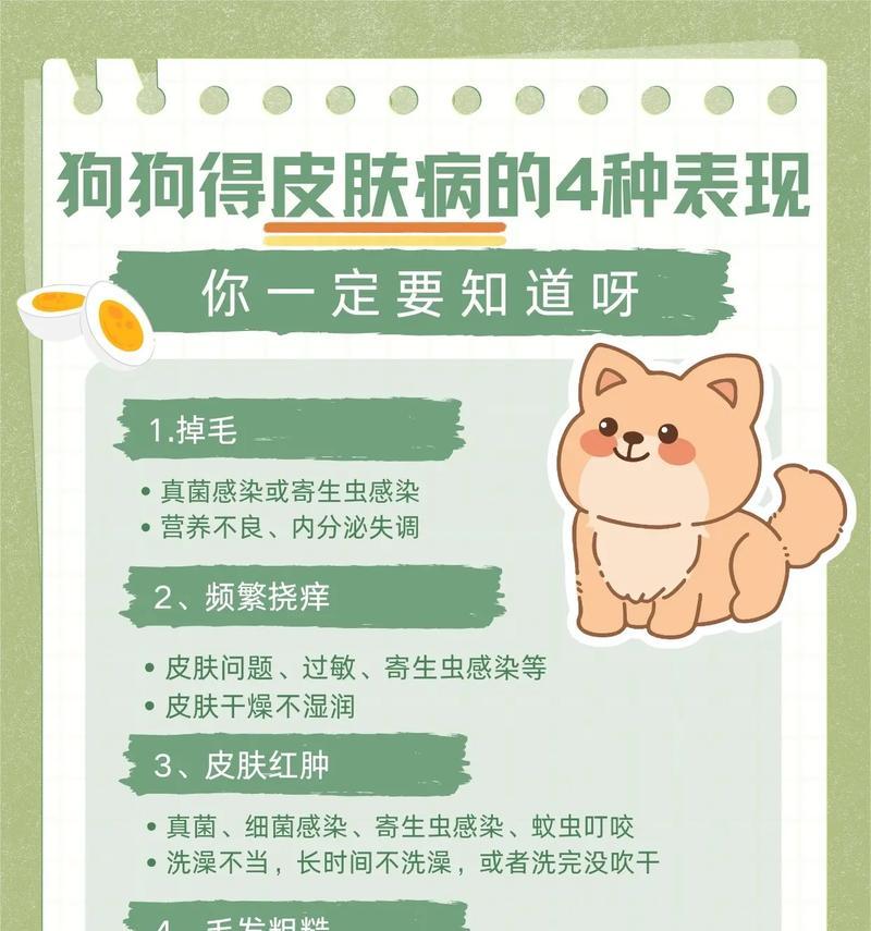狗皮肤病的治疗方法及适用药物（细说如何选择药物治疗狗狗的皮肤病）