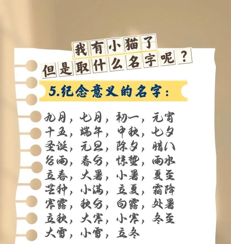 宠物起什么名字好听——寻找与宠物相匹配的独特名字（15个创意名字为您的宠物增添个性魅力）