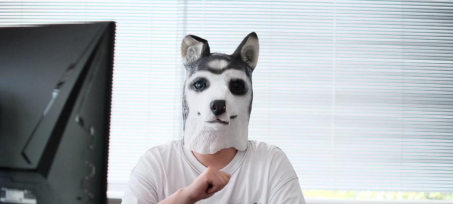 小猫去医院检查健康问题（关心宠物健康，预防疾病从早做起）