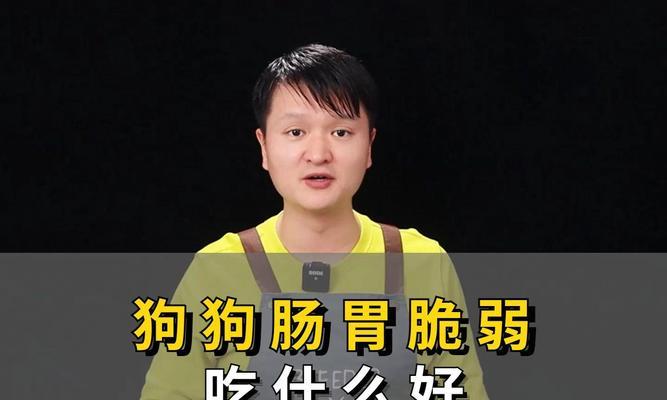 探究狗狗脾胃不好吃什么的原因与解决方法（挑食、消化不良，狗狗脾胃问题解析与调理指南）
