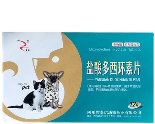 大型狗感冒应该如何治疗？（药物治疗是关键，但需注意副作用）
