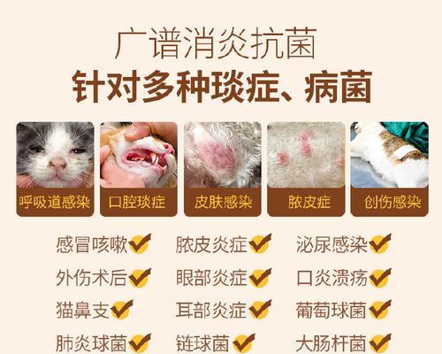 猫咪伤口消炎必备药品（选择合适的药品保护爱宠健康）
