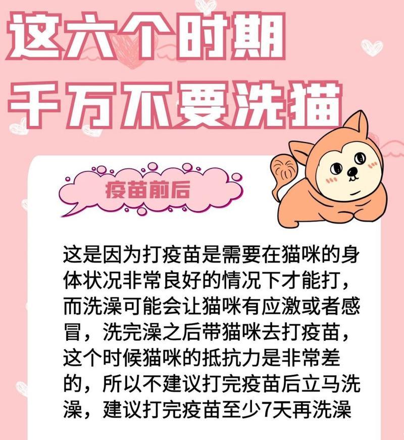 猫咪为何不能频繁洗澡？（探究猫咪皮肤和健康的关系）