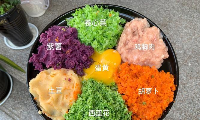 宠物泰迪七个月应该吃什么？（为您详细解析泰迪七个月的饮食需求）