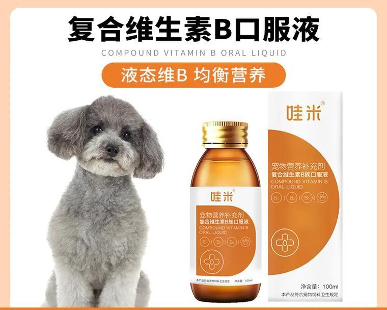 小泰迪的饮食禁忌及推荐饮品（了解小泰迪喝什么，让它健康成长）