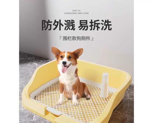 狗为什么不在厕所尿？（探究狗不在厕所尿的原因及解决方法）