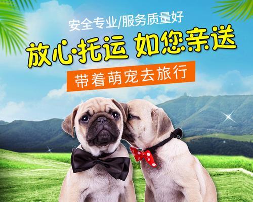 带狗出外地的必备手续（了解狗的需求，让旅途更顺利）