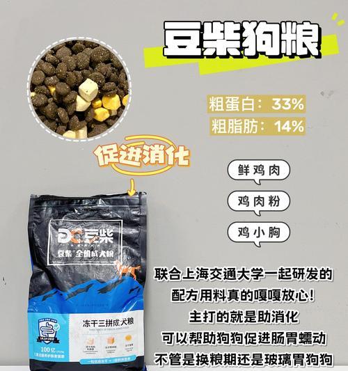 以狗吃吃什么养胃？（狗的胃健康养护方法大揭秘）