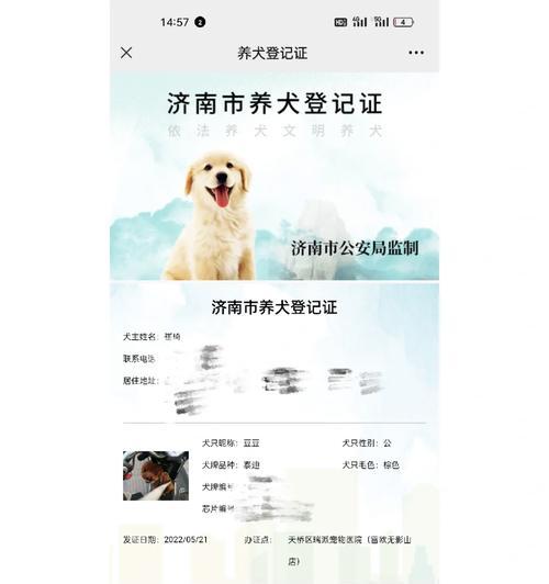 深圳办理狗证所需材料及步骤（办理狗证的流程详解，帮您轻松完成注册手续）