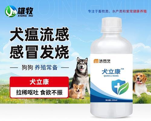 狗瘟发烧该如何用药治疗？（药物治疗是控制狗瘟发烧的关键）