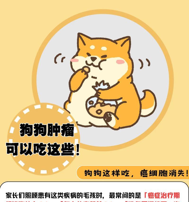 狗狗的健康饮食——增加营养的食物推荐（为你的宠物选择最佳营养食品，关注狗狗健康）
