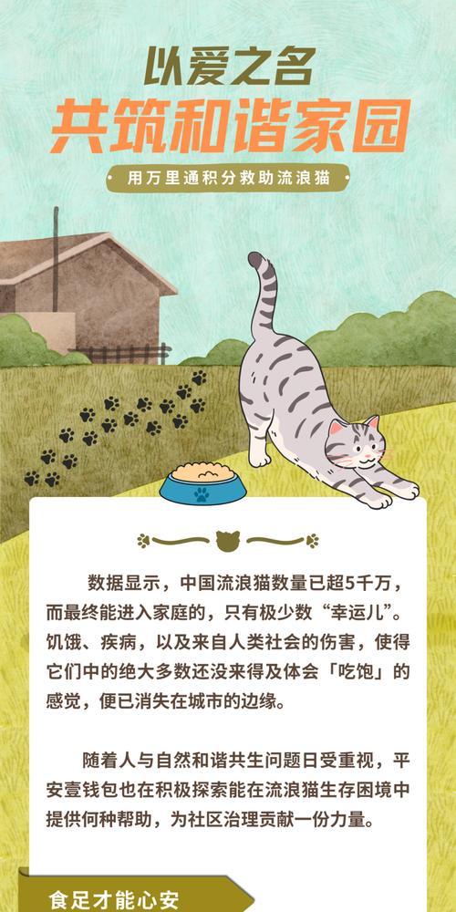 猫咪的饮食时间安排及喂养建议（了解猫咪的饮食需求，合理安排喂养时间）