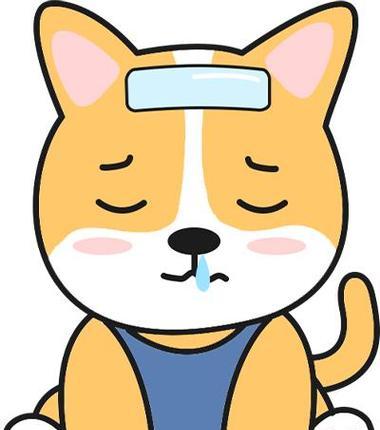 狗狗发烧的注意事项（宠物狗狗发烧的预防和护理）
