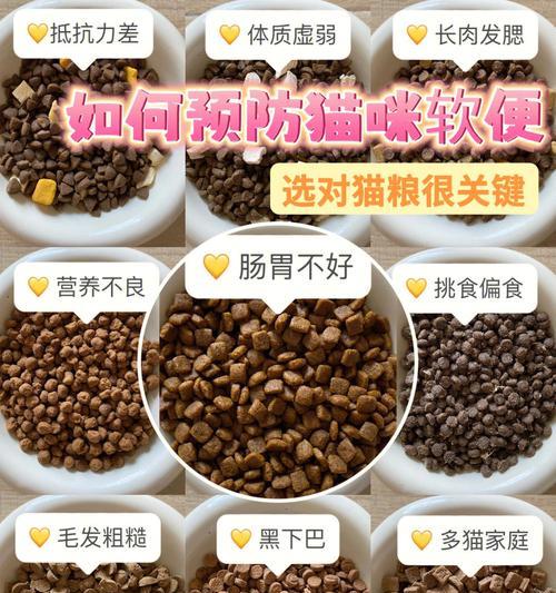 猫咪软便吃什么药？（解决猫咪软便问题的有效药物及注意事项）