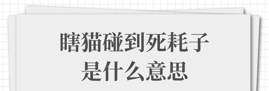 猫为何会送死老鼠？（揭秘猫咪天性中的捕食本能）