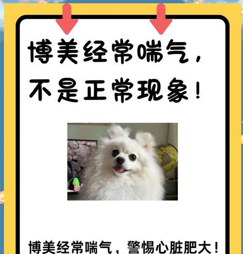 狗狗为什么会伸舌头喘气？（探究狗狗喘气的原因及其重要性）