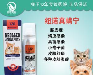 狗狗湿性皮炎的治疗药物解析（药物选择的关键因素及治疗效果分析）