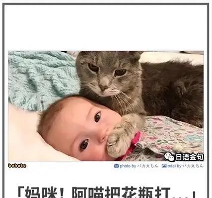 猫到底什么时候有的？（揭秘猫是如何进入人类生活的）