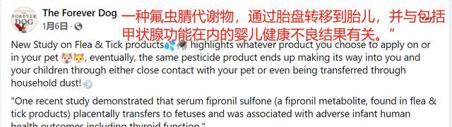 狗狗产后胎盘的处理方法（了解狗狗产后胎盘的功能与药物处理方法）