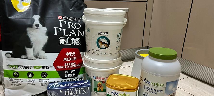 边牧健康指南（了解边牧所需药物及正确用药方法，守护爱犬健康）