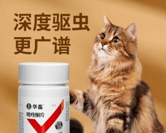 泰迪宠物除虫全攻略（一起了解泰迪宠物的除虫药和注意事项）