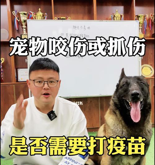 狗狗被咬伤后如何选择合适的消炎药（选择适用的消炎药，保护狗狗健康）