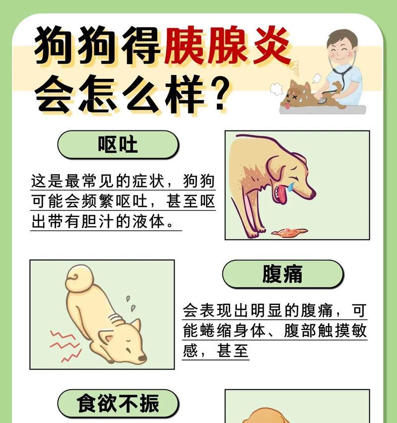 狗狗为什么会吐？（探究狗狗吐的原因与处理方法）