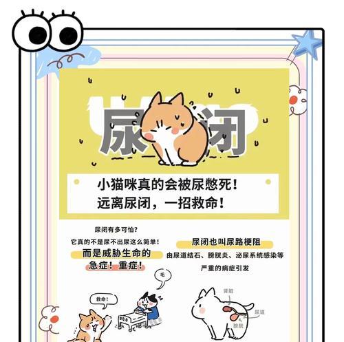 小猫2周龄的排尿频率（了解小猫在2周龄时的排尿习惯及注意事项）