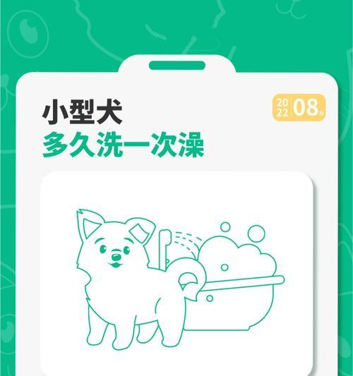 宝宝小狗洗澡指南（刚出生的小狗洗澡时间表及注意事项）