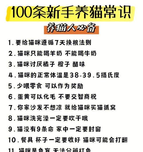 猫咪换粮时间的重要性（科学确定猫咪的饮食规律）